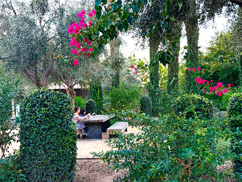 Фото: How2Spain. Parc Central Valencia